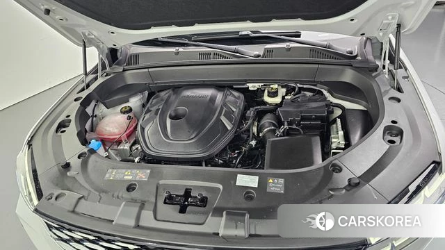 Renault Korea (Samsung) Grand Coleos id 4329505 из Кореи 26