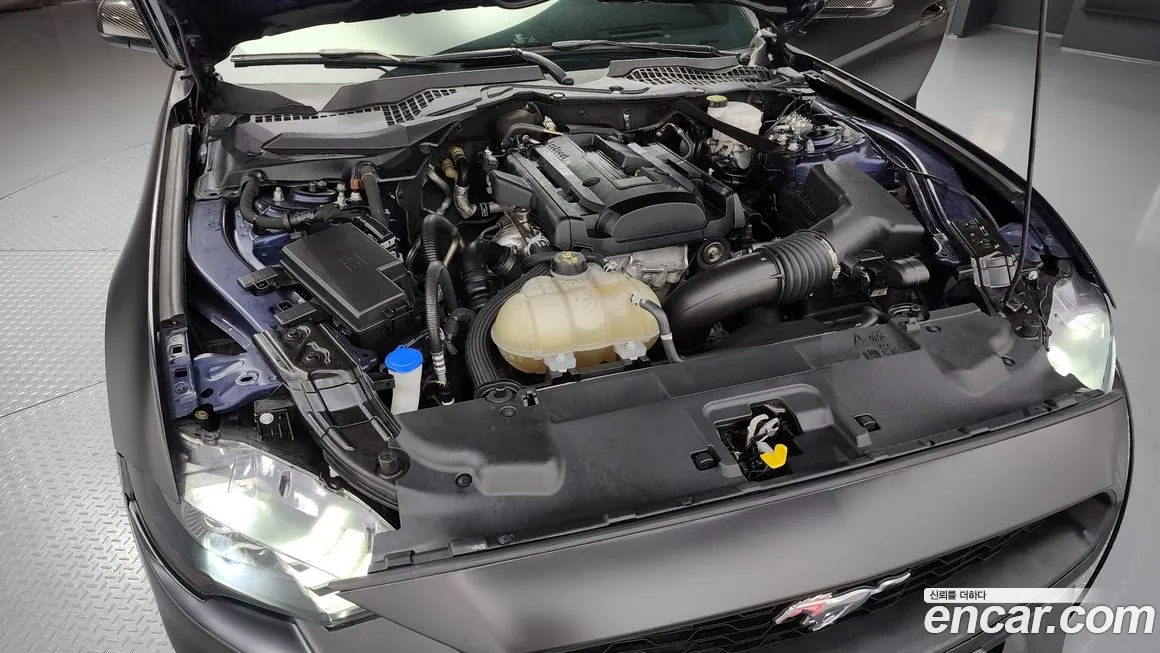 Ford Mustang id 2020919 из Кореи 16