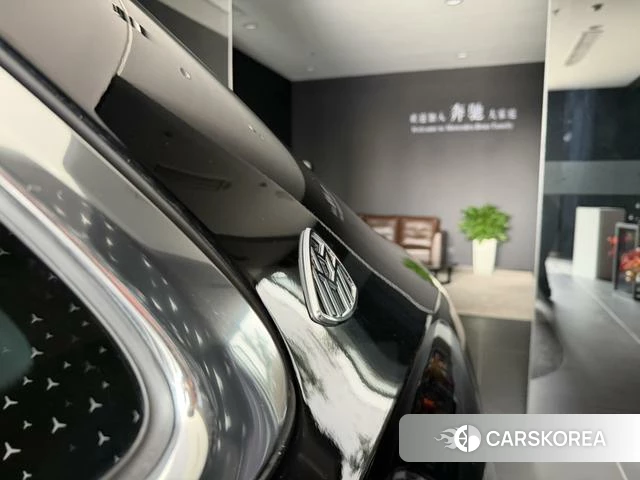 Mercedes-Benz Maybach S-class id 4300850 из Китая 16