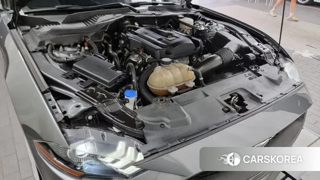 Ford Mustang id 3022838 из Кореи 16