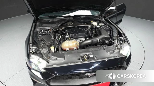 Ford Mustang id 4188616 из Кореи 26