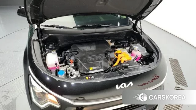 Kia Di Ol Nu Niro id 2900010 из Кореи 16