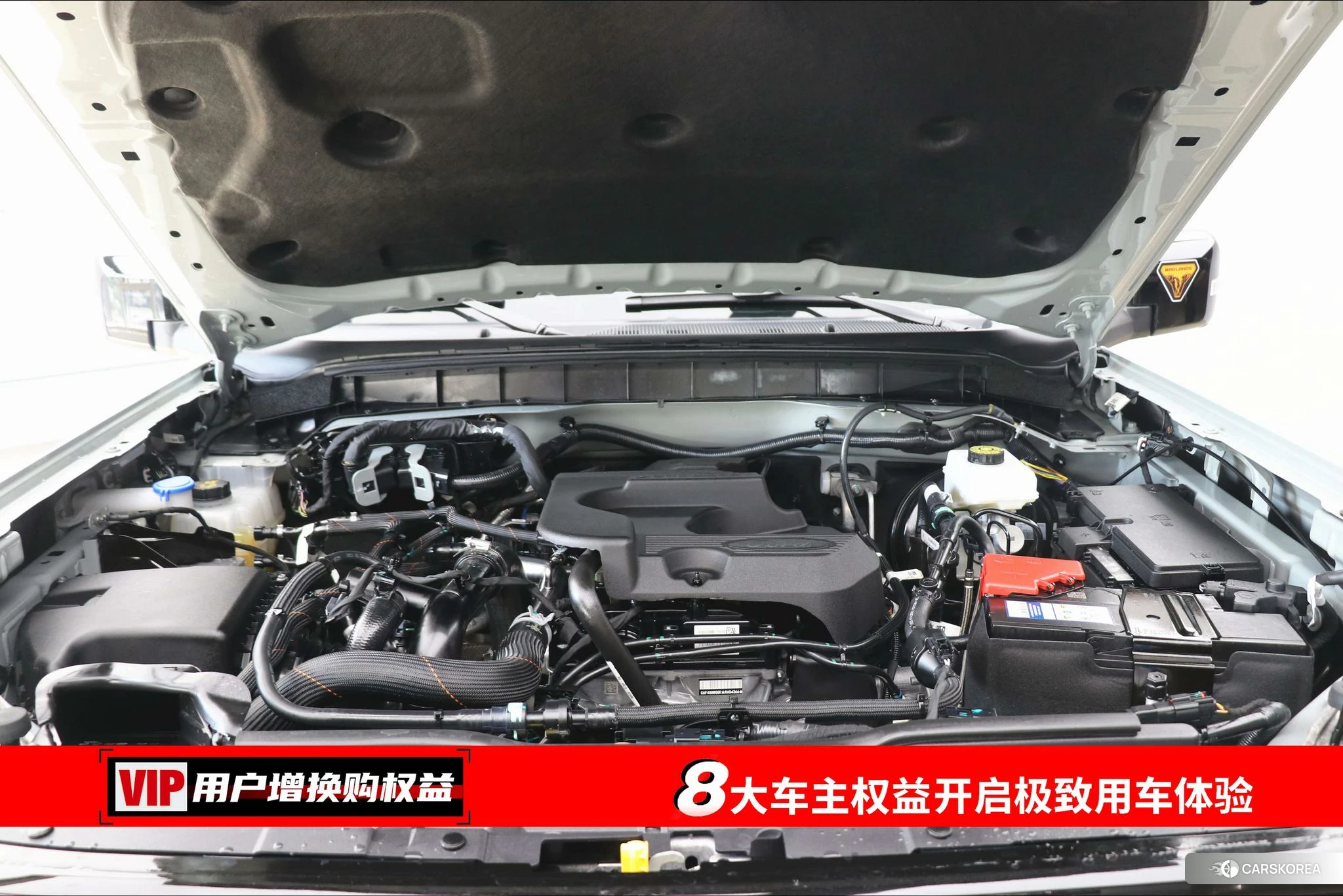 Ford Lie Ma id 4513982 из Китая 27
