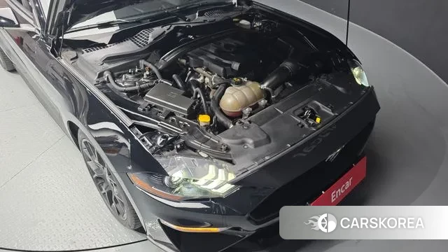 Ford Mustang id 3439489 из Кореи 16