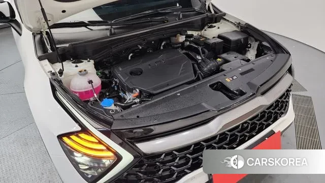 Kia Sportage 5th Generation id 3684693 из Кореи 16