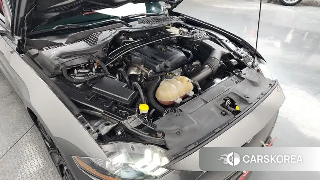 Ford Mustang id 3602088 из Кореи 16