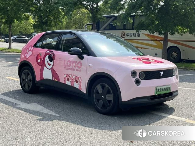 firefly firefly Unknown id 3993377 из Китая 20