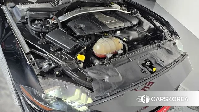 Ford Mustang id 3408003 из Кореи 16