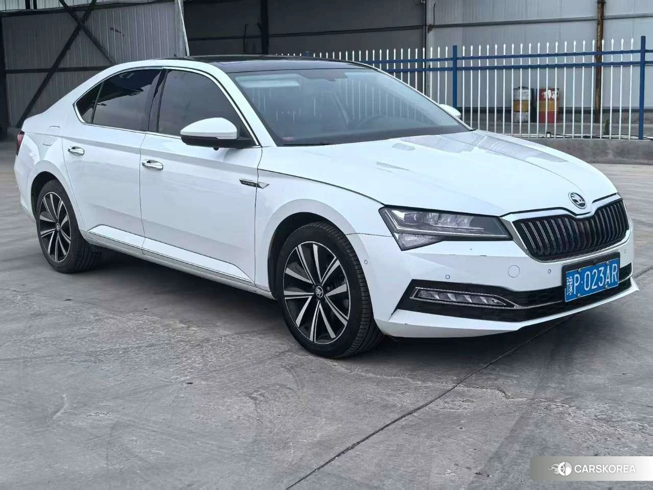 Skoda Speed pie 2023 Белый из Китая, фото 6