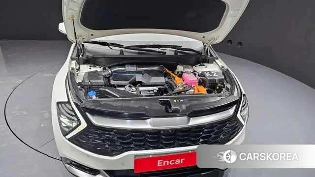 Kia Sportage 5th Generation Hybrid id 3447465 из Кореи 16