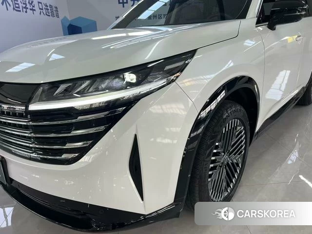 Nissan Exploring the land id 4336043 из Китая 18