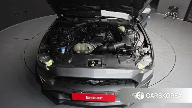 Ford Mustang id 3626045 из Кореи 16