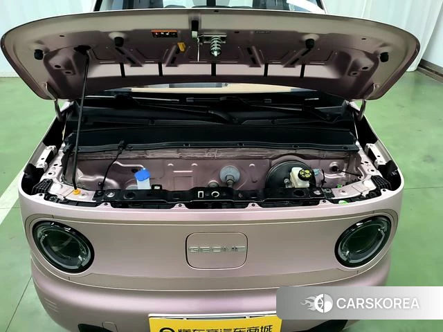 Geely Galaxy panda id 4211457 из Китая 16