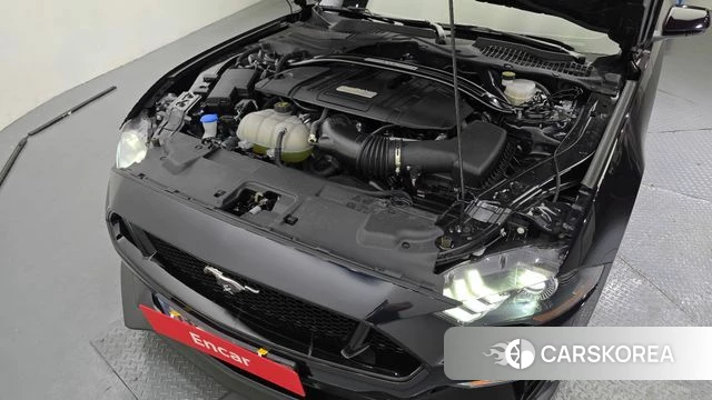 Ford Mustang id 4186528 из Кореи 16