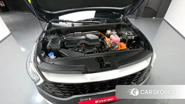 Kia Sportage 5th Generation Hybrid id 3707290 из Кореи 16