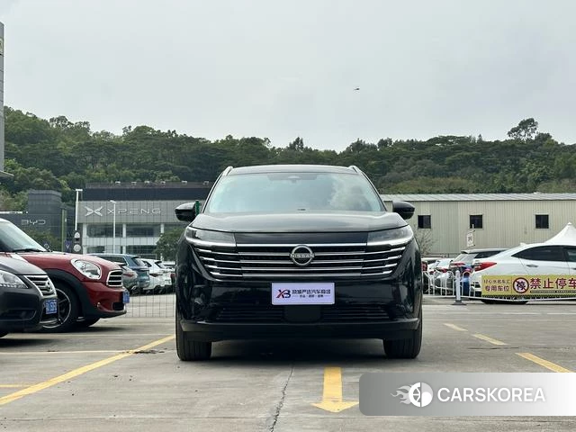 Nissan Exploring the land id 4262621 из Китая 16