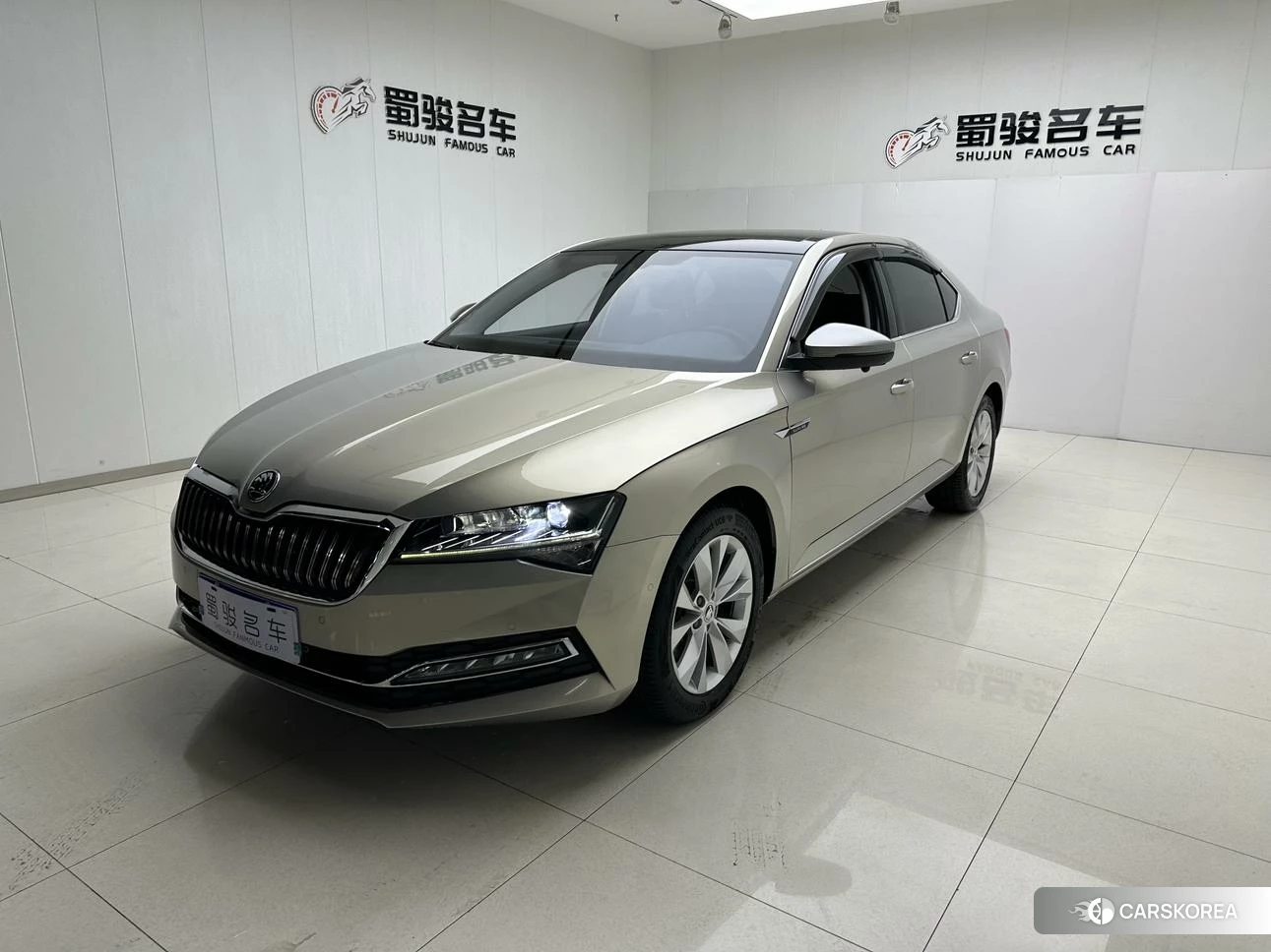Skoda Speed pie id 4420812 из Китая 15
