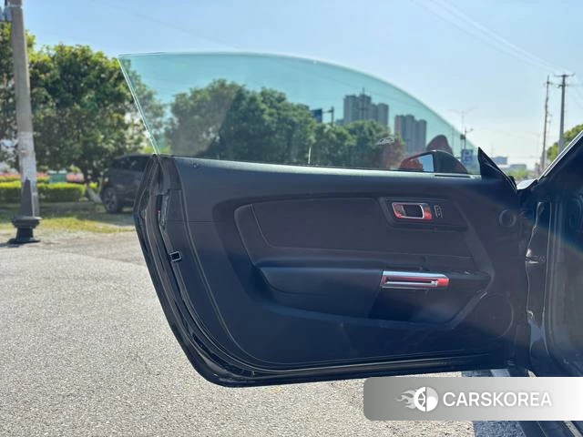 Ford Mustang id 4241577 из Китая 8