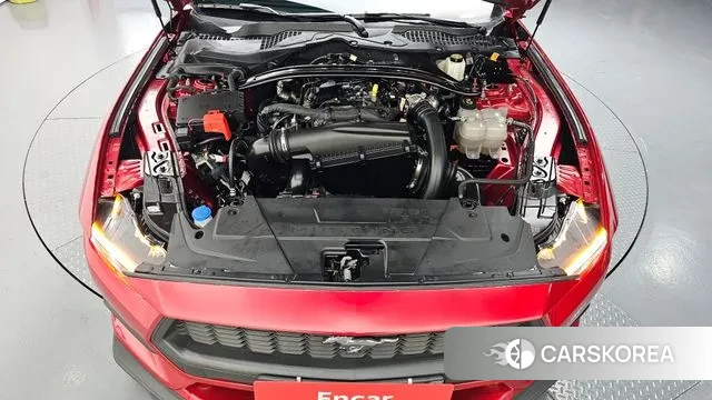 Ford Mustang 7th Generation id 3482353 из Кореи 16