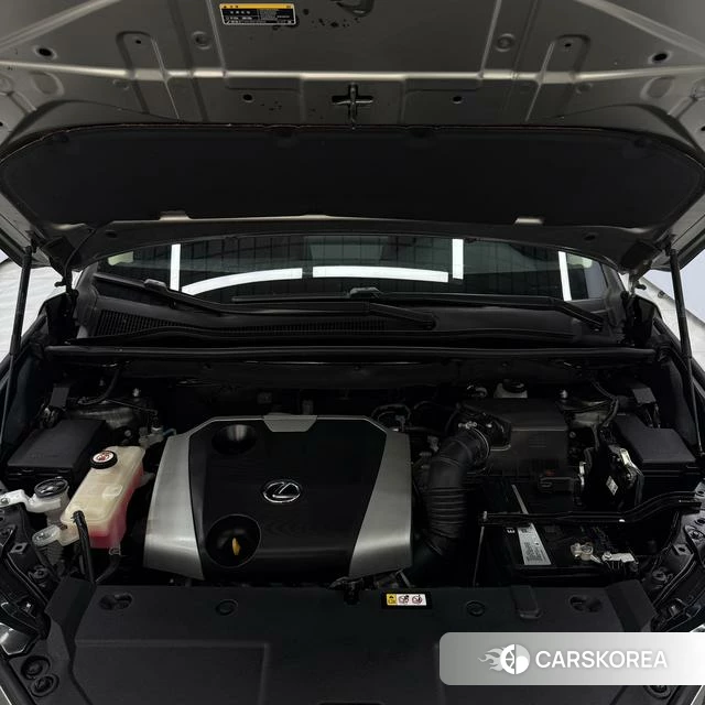 Lexus NX id 4300378 из Китая 16