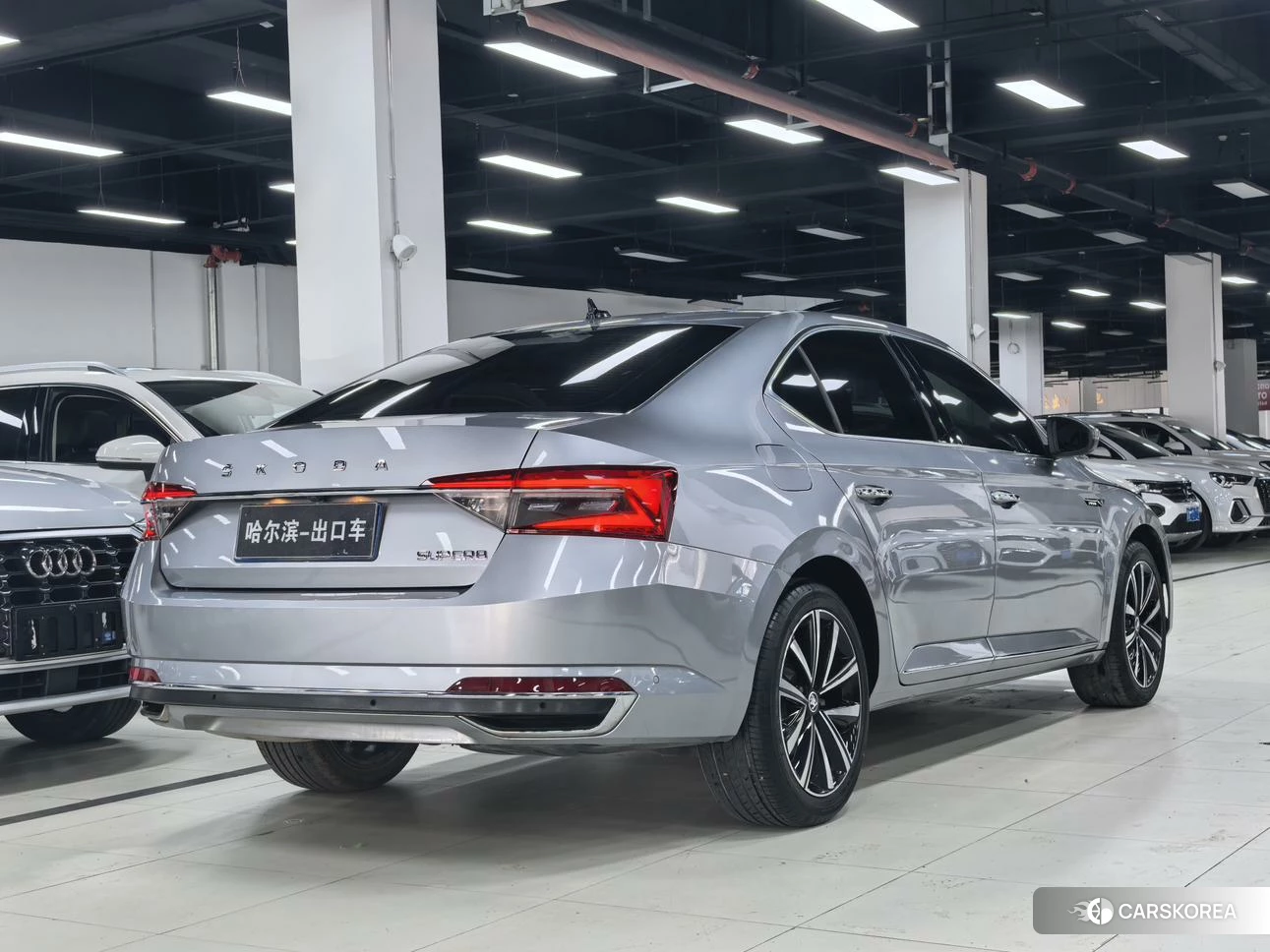 Skoda Speed pie id 4452178 из Китая 21