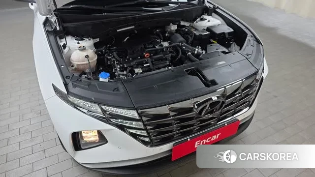 Hyundai Tucson (NX4) id 3556327 из Кореи 16