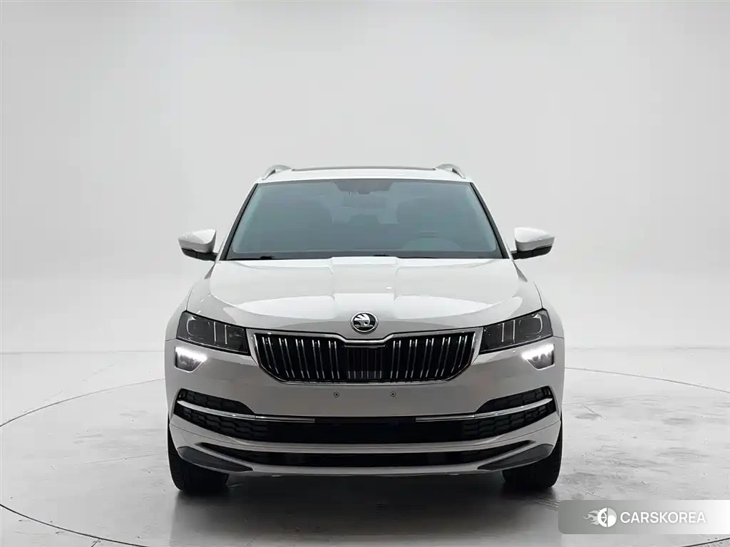 Skoda Karoq id 4628183 из Китая 20