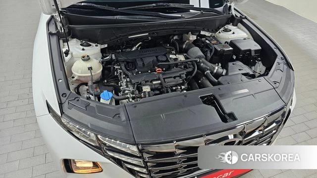 Hyundai Tucson (NX4) id 4423191 из Кореи 26