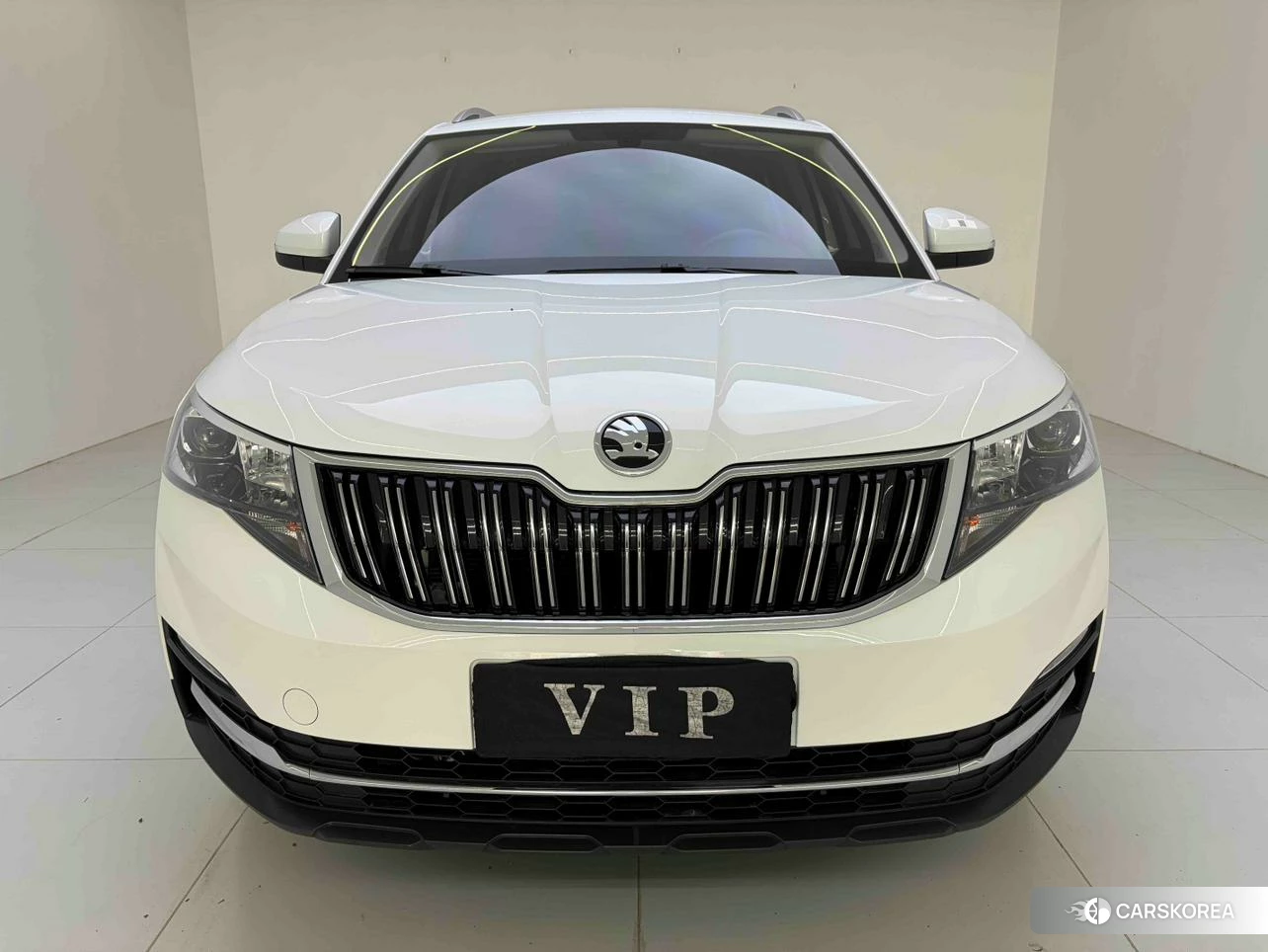 Skoda Kamiq id 4454293 из Китая 12