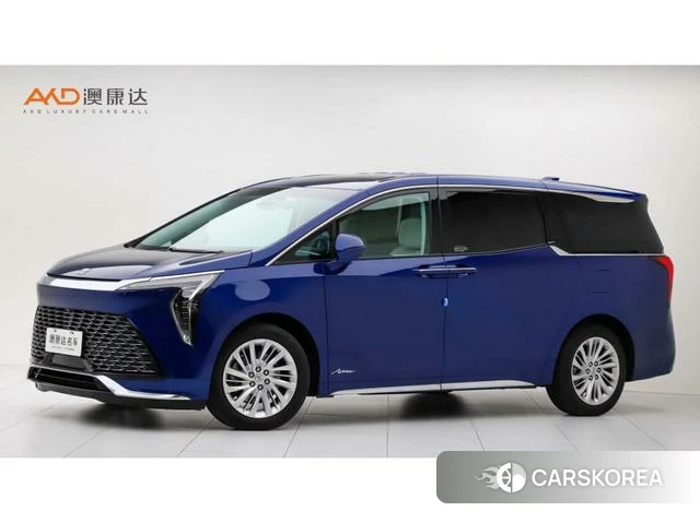 Buick century id 4238649 из Китая 7