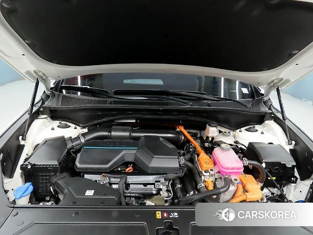 Hyundai The New Santa Fe id 4711925 из Кореи 16