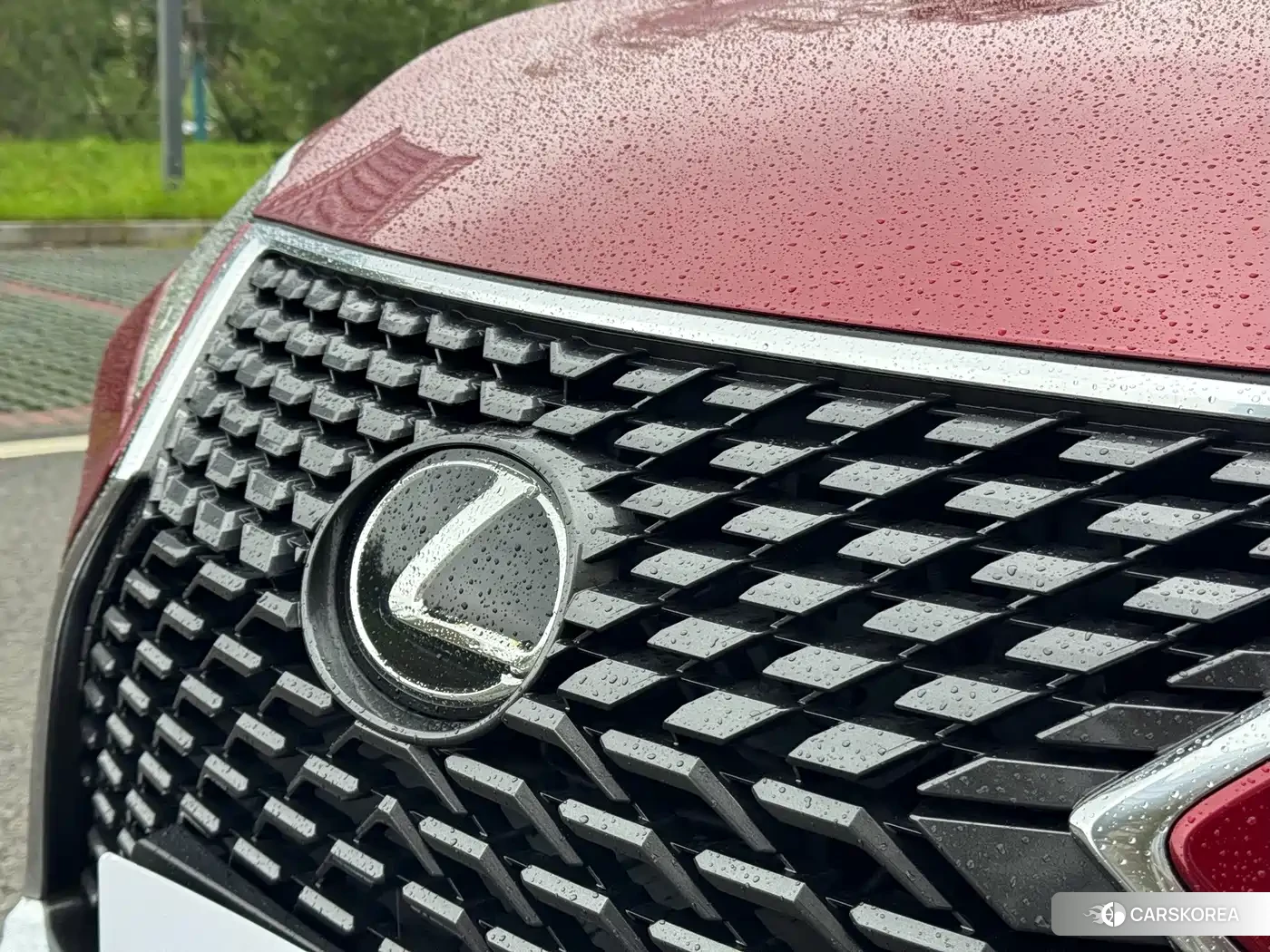 Lexus RX id 4669348 из Китая 23