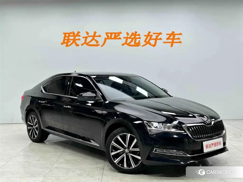 Skoda Speed pie id 4565175 из Китая 21