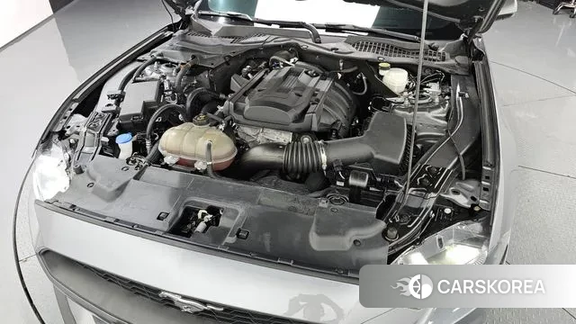 Ford Mustang id 2889929 из Кореи 16