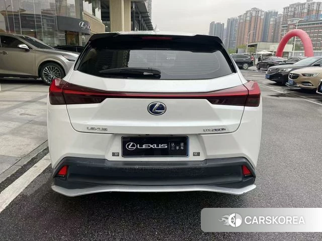 Lexus UX 2021 Белый из Китая, фото 6