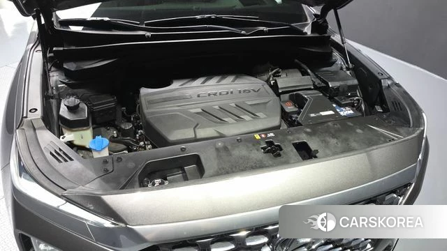 Hyundai Santa Fe TM id 4625946 из Кореи 16