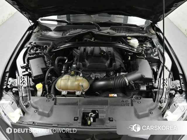 Ford Mustang id 4363496 из Кореи 16