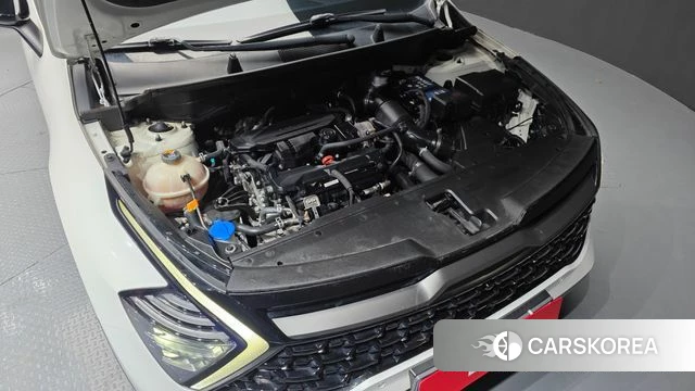 Kia Sportage 5th Generation id 3904245 из Кореи 16