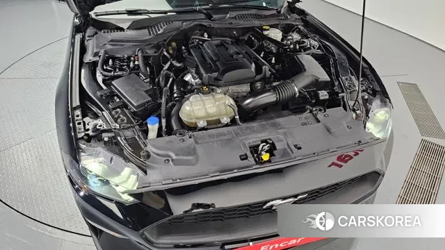 Ford Mustang id 3362332 из Кореи 16