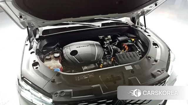 Renault Korea (Samsung) Grand Coleos id 3538555 из Кореи 16