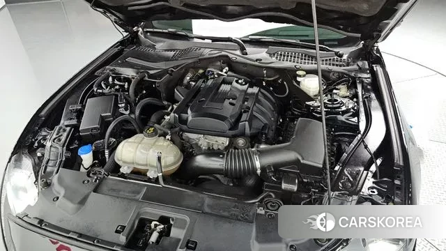 Ford Mustang id 3406644 из Кореи 16