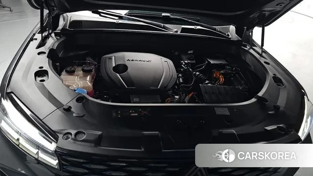 Renault Korea (Samsung) Grand Coleos id 3462064 из Кореи 16