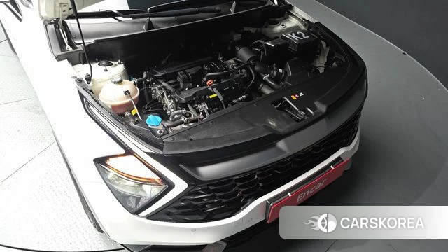 Kia Sportage 5th Generation id 4308321 из Кореи 35
