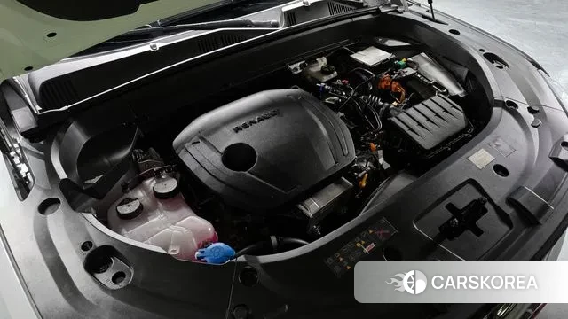 Renault Korea (Samsung) Grand Coleos id 3715981 из Кореи 16