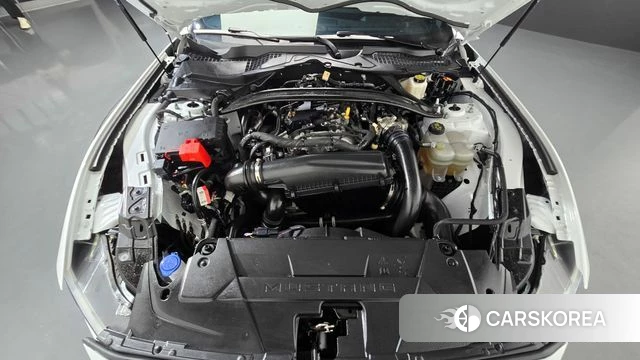 Ford Mustang 7th Generation id 4743813 из Кореи 25