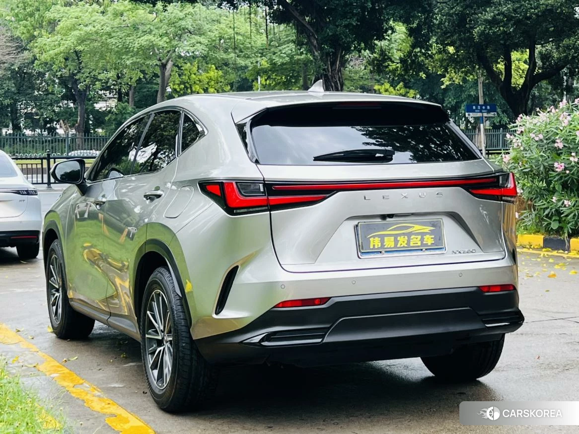 Lexus NX id 4432192 из Китая 17
