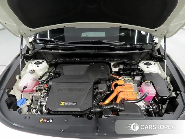 Kia Di Ol Nu Niro id 3864749 из Кореи 16