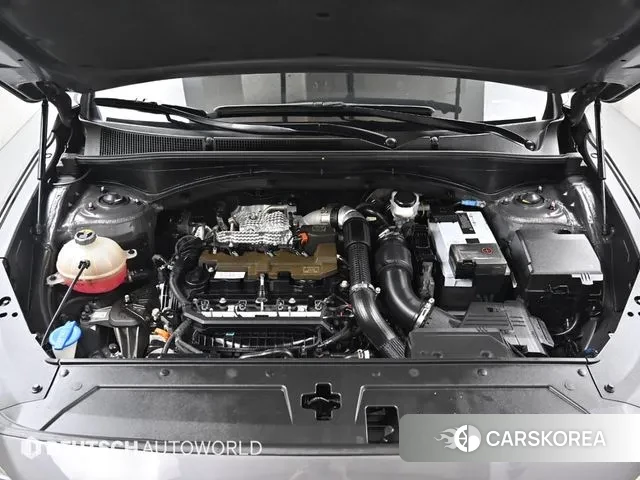 Hyundai The New Santa Fe id 2895237 из Кореи 16