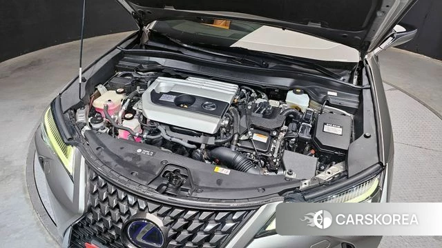 Lexus UX250h id 4377621 из Кореи 26