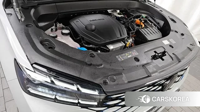 Renault Korea (Samsung) Grand Coleos id 3168372 из Кореи 16